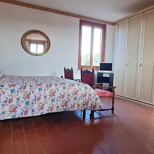 Gli Scoiattoli , Civitella in Val di Chiana Italia